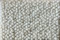 Pure Nature 32 Loop Aspen Area Rug - Rugs by Roo