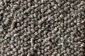 Pure Nature 32 Loop Kola Area Rug - Rugs by Roo