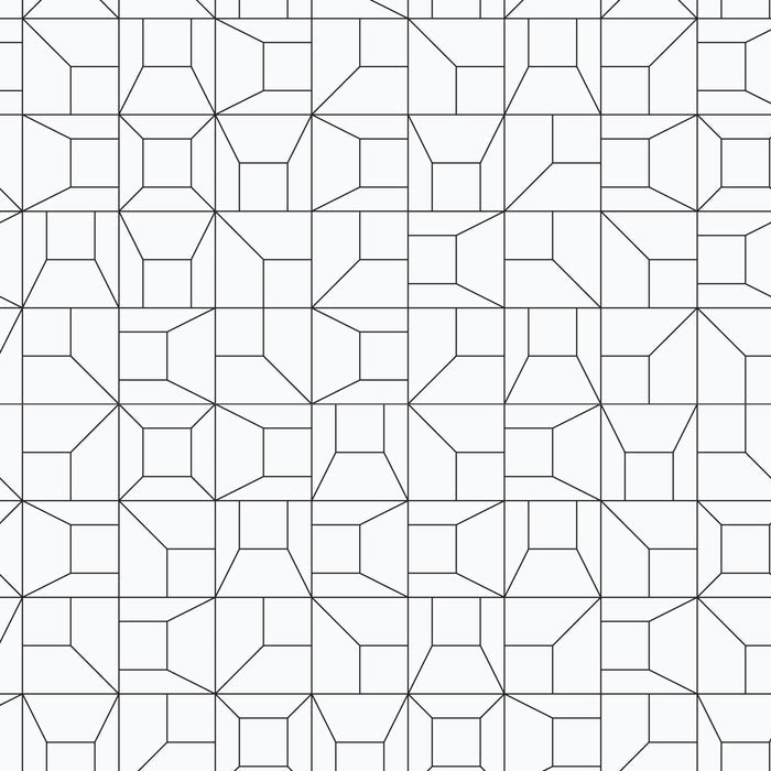 Angles And Edges - Marks Made - Leanne Friedberg - Cloud 9 Fabrics - Poplin - Simplifi Fabric