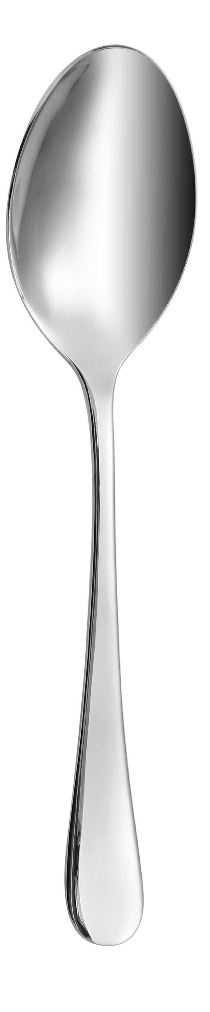 Dolphy Helena Stainless Steel Coffee Spoon 112mm – 304 Grade (Pack of 12)