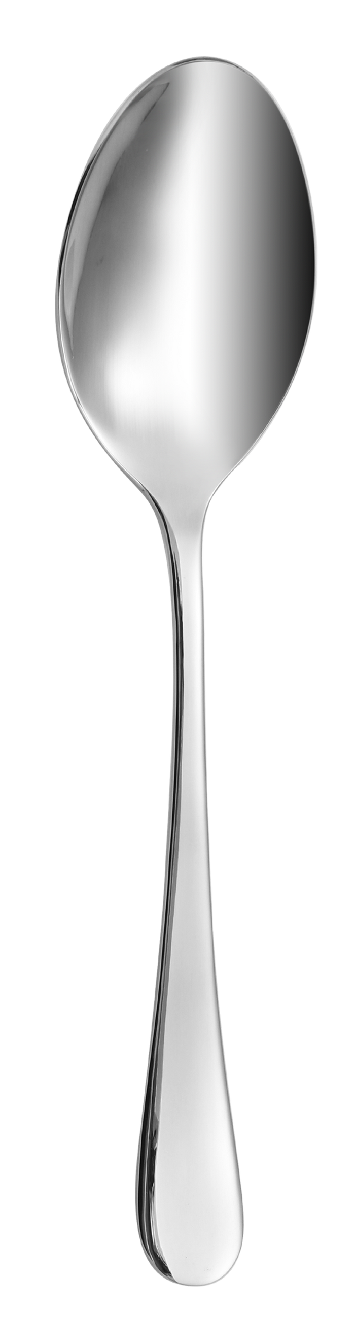 Dolphy Helena Stainless Steel Tea Spoon 146mm – 304 Grade (Pack of 12)