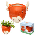 Highland Coo Head Wall Planter