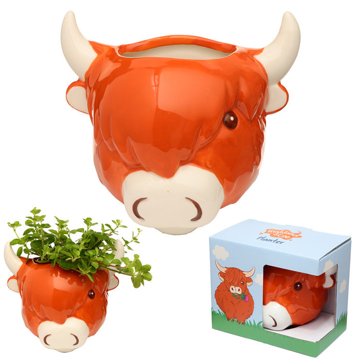 Highland Coo Head Wall Planter