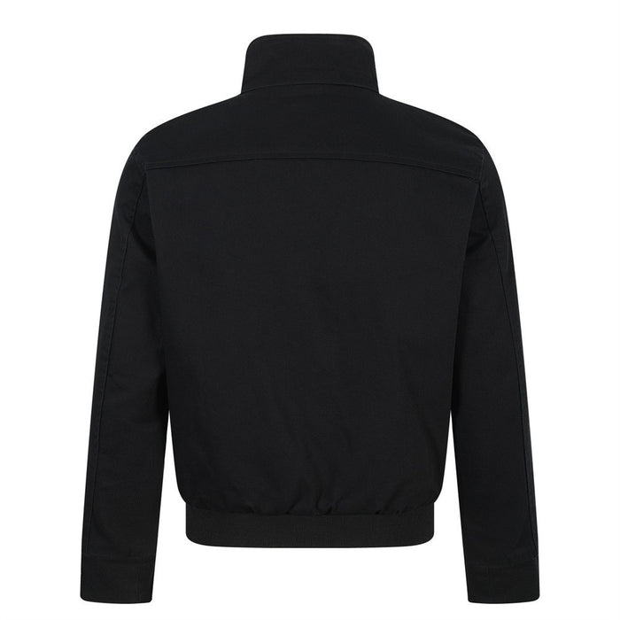 Back view of the black cropped bomber jacket showing its high collar, long sleeves, and gathered ribbed waistband