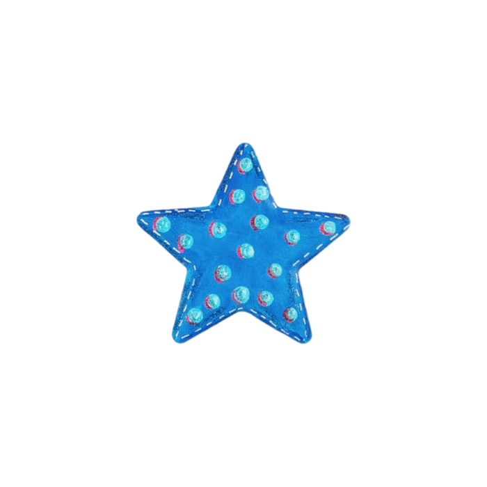 Patriotic Star Magnet