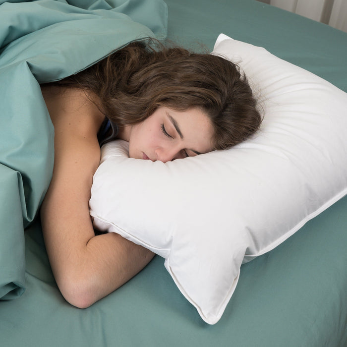 Premier Down & Feather Blend Pillow - Ameridown