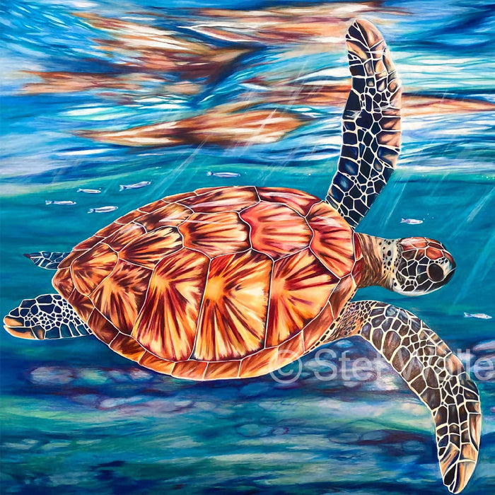 Sea Turtle