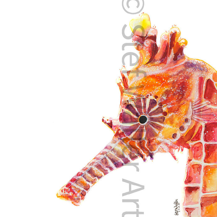 Seahorse Close-up