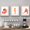 Seahorse Set