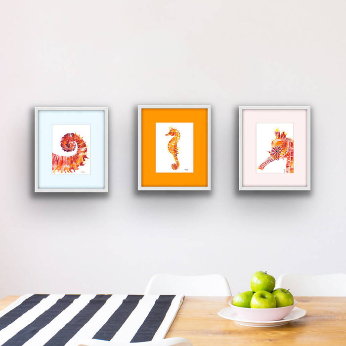 Seahorse Set