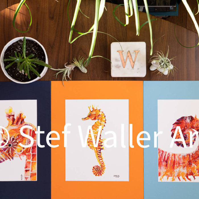 Seahorse Set