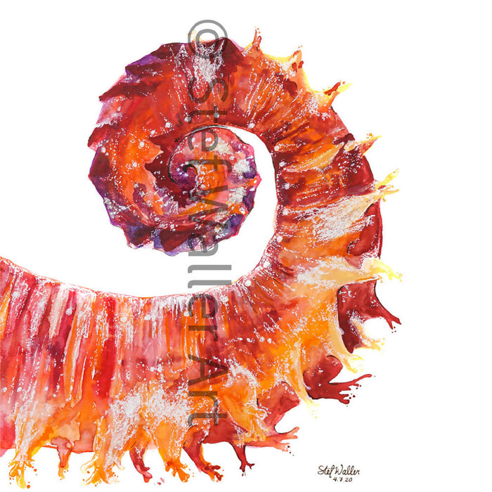 Seahorse Tail