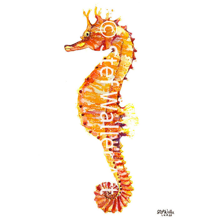 Seahorse