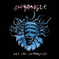 Shpongle - Are You Shpongled?