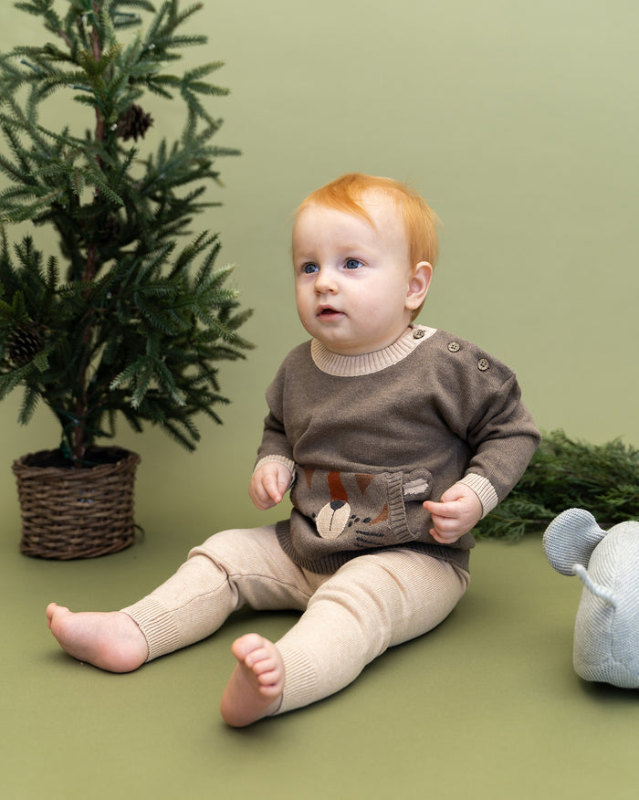 Tiger Kangaroo Pocket Baby Knit Pullover & Pant Set (Organic Cotton)