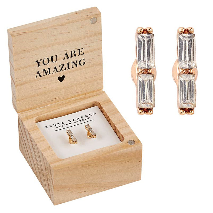Treasure Box Earrings -Best Teacher Ever